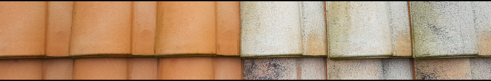 traitement de toiture